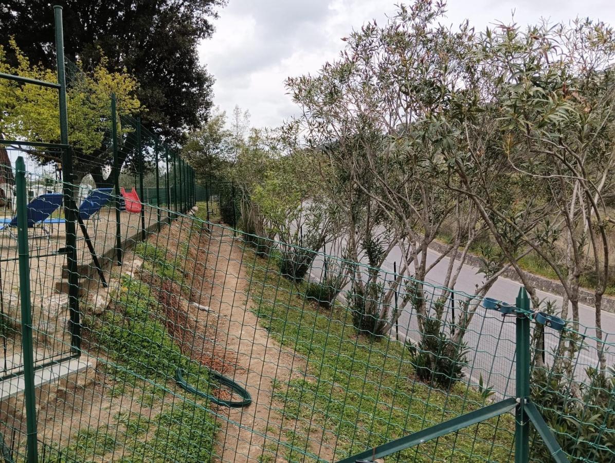 La Casina Fra Gli Olivi Βίλα Massarosa Εξωτερικό φωτογραφία